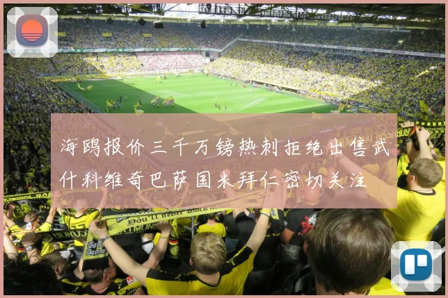 海鸥报价三千万镑热刺拒绝出售武什科维奇巴萨国米拜仁密切关注