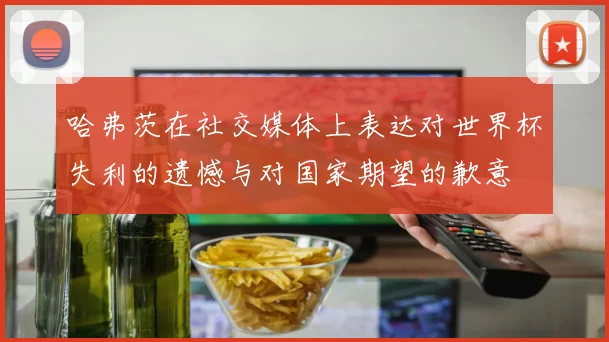 哈弗茨在社交媒体上表达对世界杯失利的遗憾与对国家期望的歉意