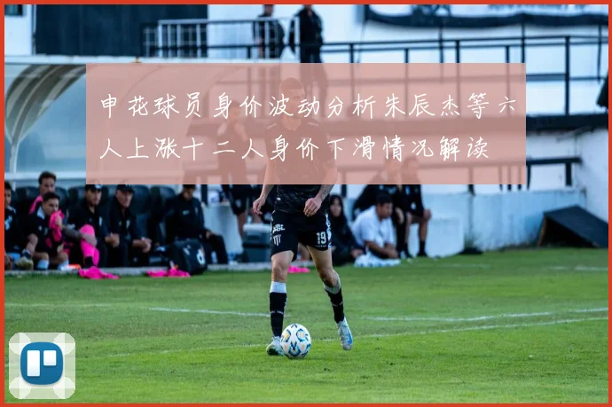 申花球员身价波动分析朱辰杰等六人上涨十二人身价下滑情况解读