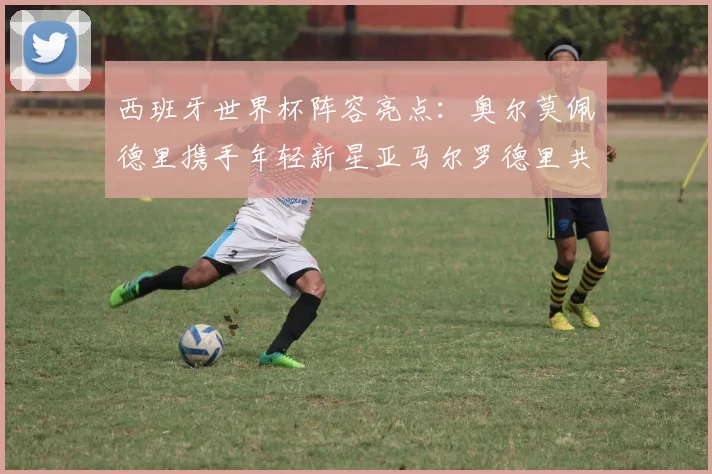 西班牙世界杯阵容亮点：奥尔莫佩德里携手年轻新星亚马尔罗德里共赴荣耀之战